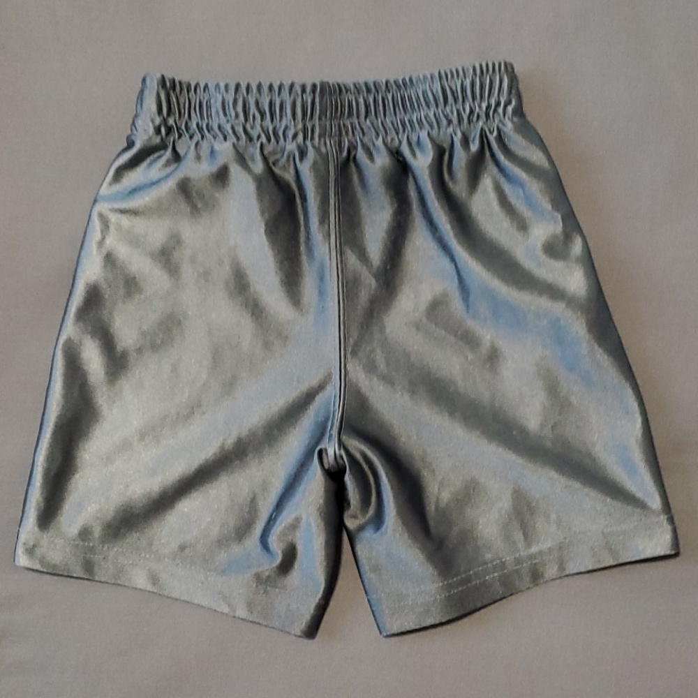 Silver Shorts - Picture 2 of 7